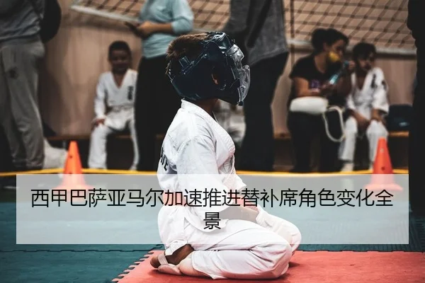 xi-jia-ba-sa-ya-ma-er-jia-su-tui-jin-ti-bu-xi-jue-se-bian-hua-quan-jing-2-824.jpg
